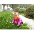 淮安市楚州區(qū)淮城鎮(zhèn)下關小學幼兒園