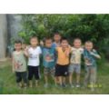 碑廓辛莊子陽(yáng)光幼兒園