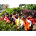 麻山紅太陽幼兒園