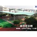東莞市大朗鎮(zhèn)巷頭小學