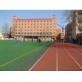 石家莊市第九中學