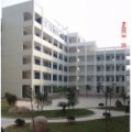溫州市平陽縣水頭鎮(zhèn)第一小學(xué)（水頭一?。?></a></dt>
      <dd>
      <p><a href=