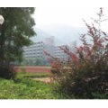 肇慶市外國(guó)語(yǔ)實(shí)驗(yàn)學(xué)校（小學(xué)部）
