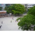 惠州市下埔小學(xué)