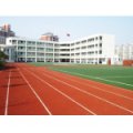 青島市城陽區(qū)河套街道趙孟小學