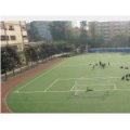 四川大學(xué)附屬實(shí)驗(yàn)小學(xué)（川大附?。?></a></dt>
      <dd>
      <p><a href=
